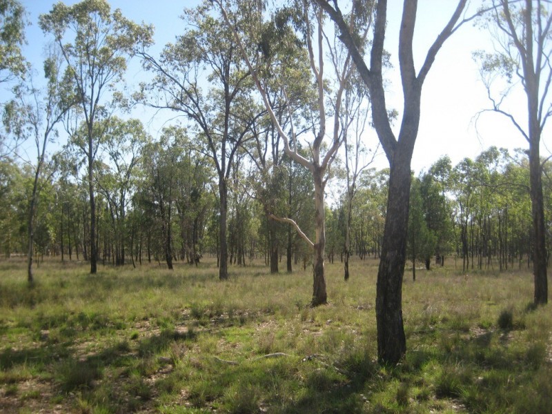 Kogan QLD 4406