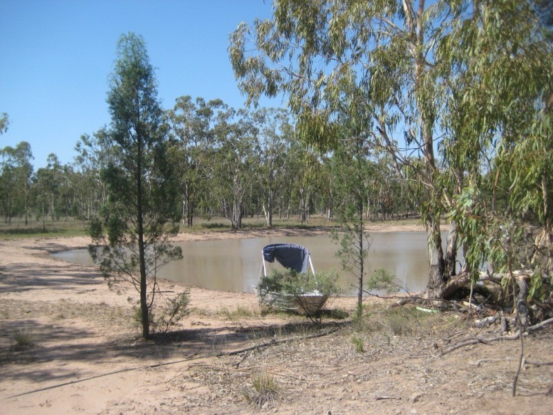 Kogan QLD 4406