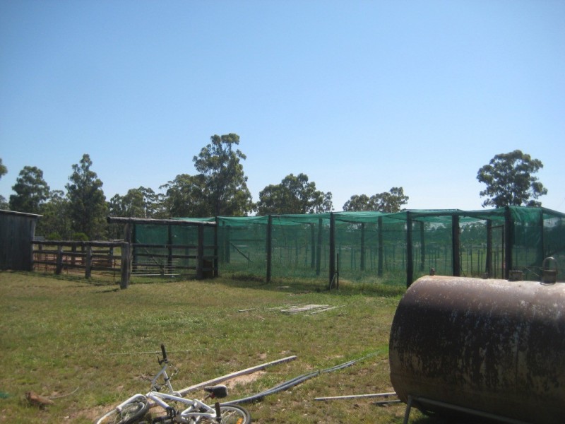 Kogan QLD 4406