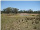 Kogan QLD 4406