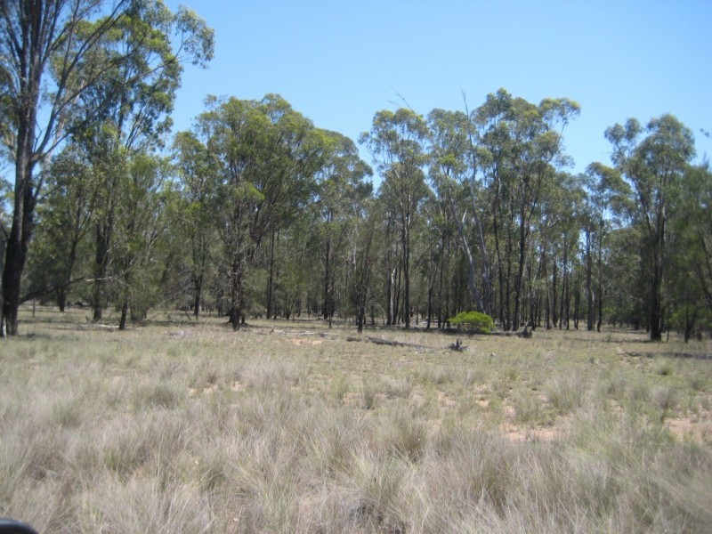 Kogan QLD 4406