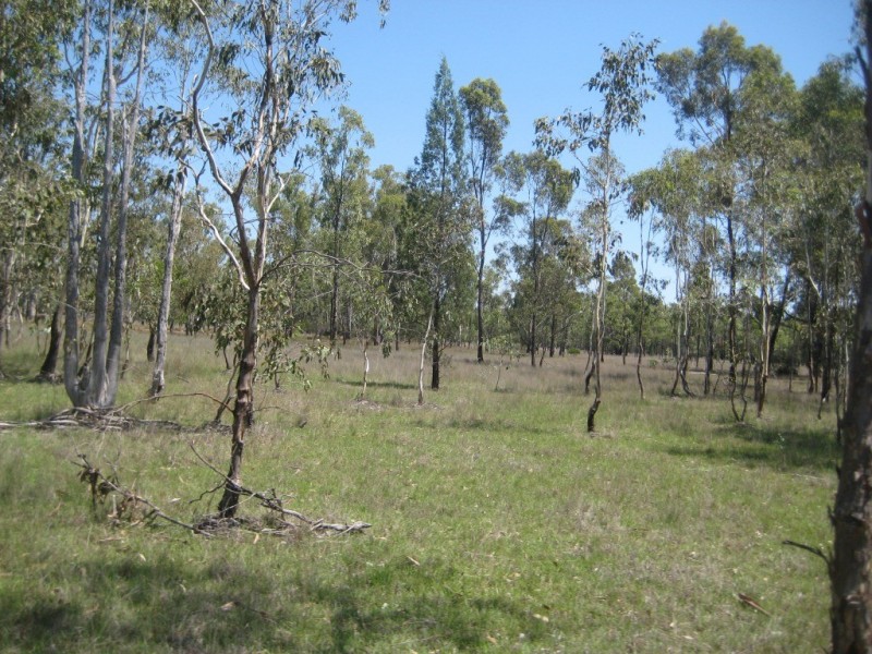 Kogan QLD 4406