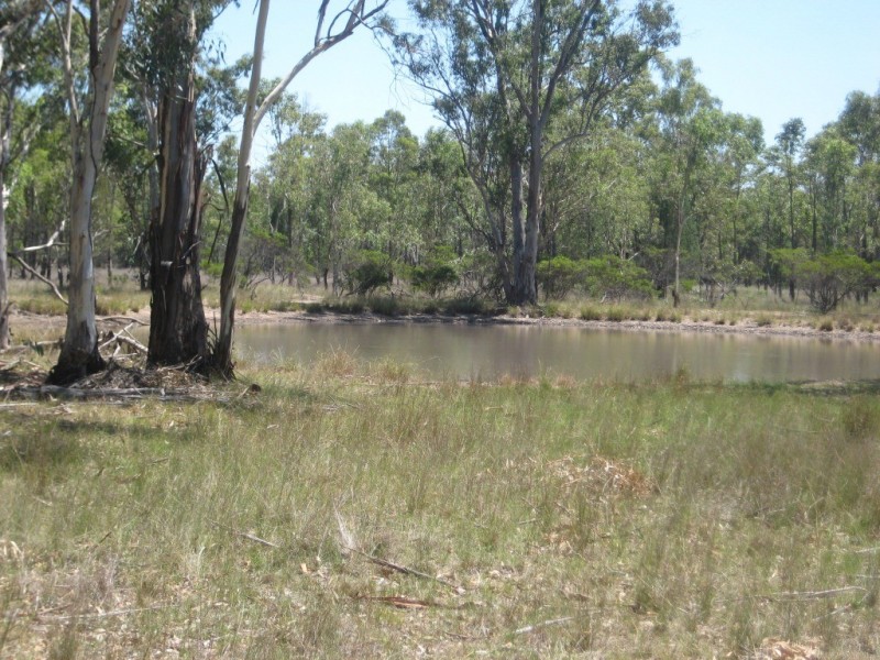 Kogan QLD 4406