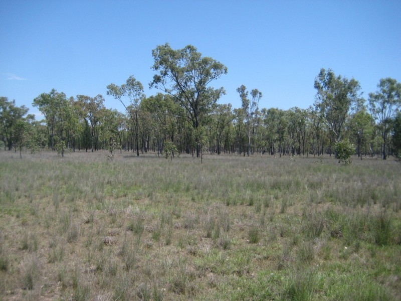 Kogan QLD 4406