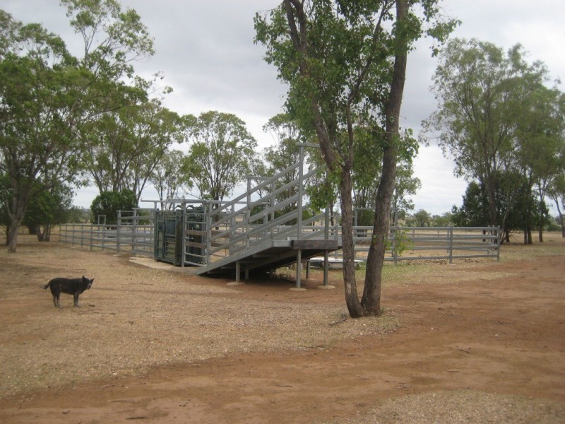 Bell QLD 4408
