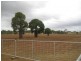 Bell QLD 4408