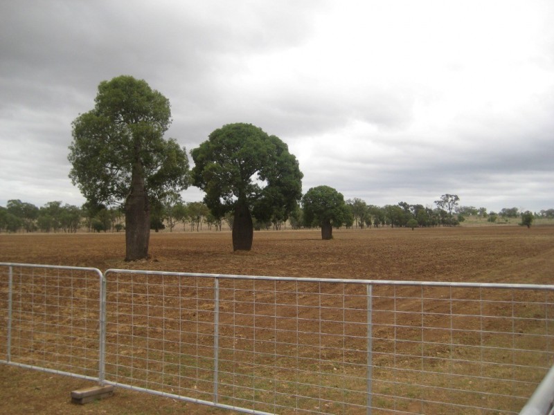 Bell QLD 4408