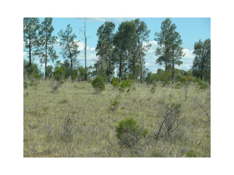 ” The Junction “, Roma QLD 4455