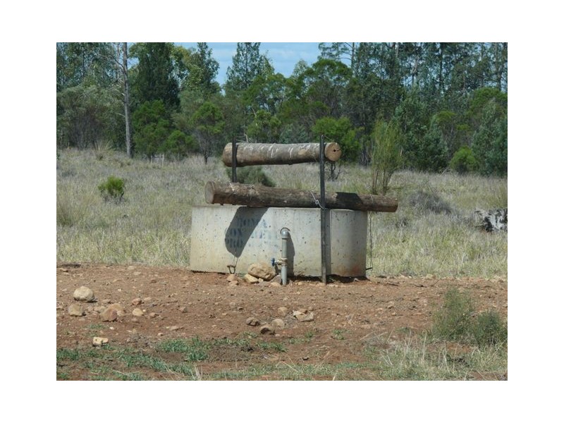 ” The Junction “, Roma QLD 4455