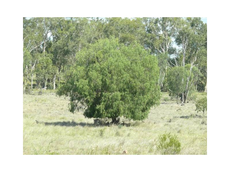 ” The Junction “, Roma QLD 4455