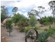 20 Albert Street, Jandowae QLD 4410