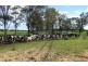 Maclagan QLD 4352