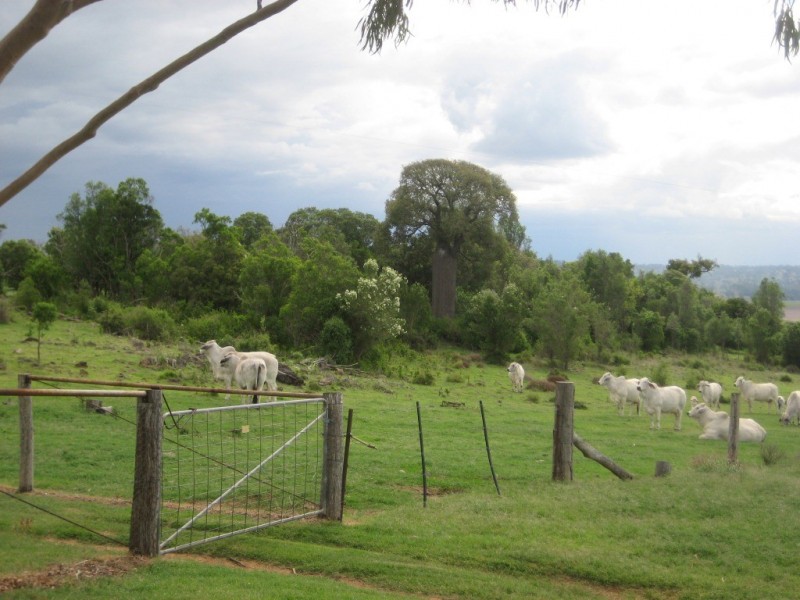 Bell QLD 4408
