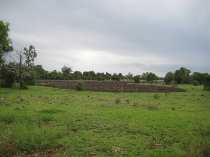 Bell QLD 4408