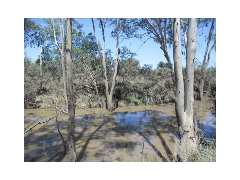 38593 LEICHHARDT HIGHWAY, Miles QLD 4415