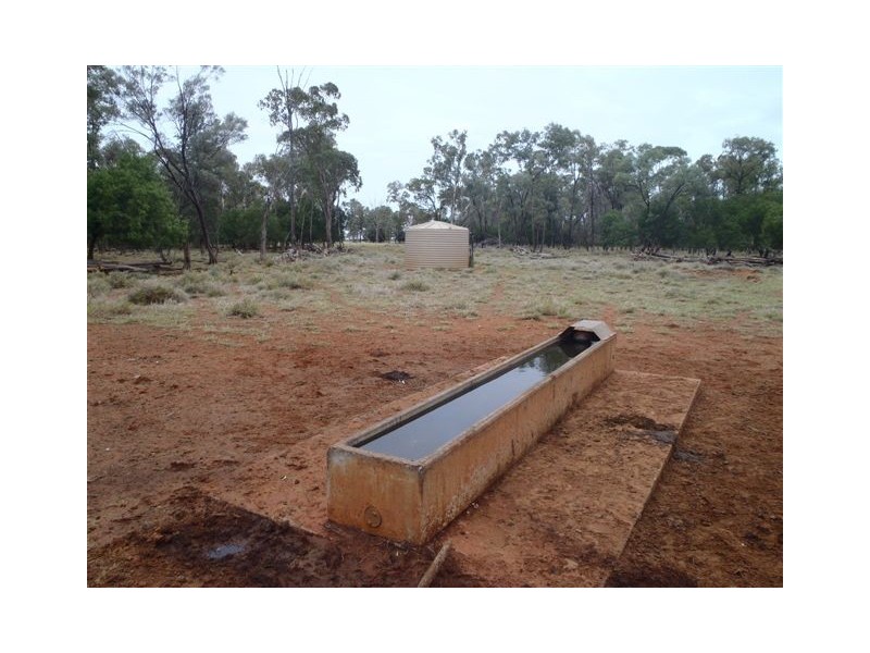 ” Honeymah “, Dirranbandi QLD 4486