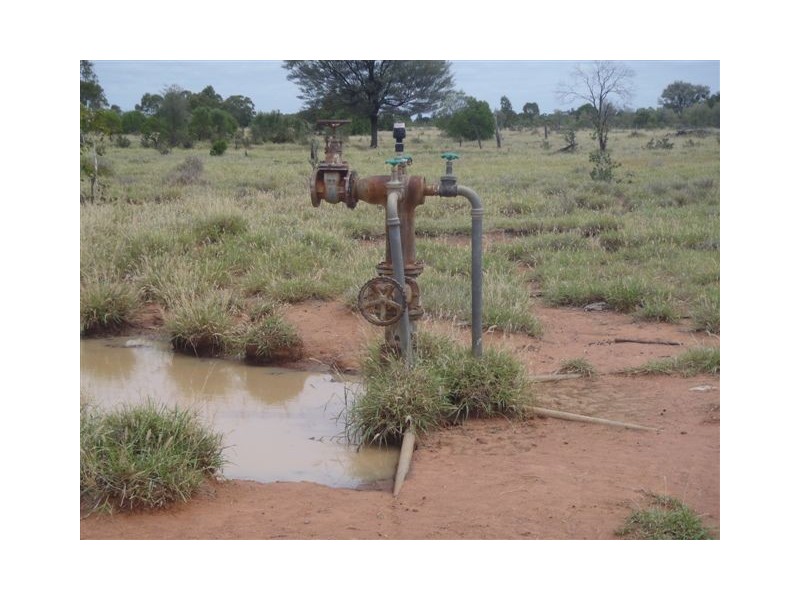 ” Honeymah “, Dirranbandi QLD 4486