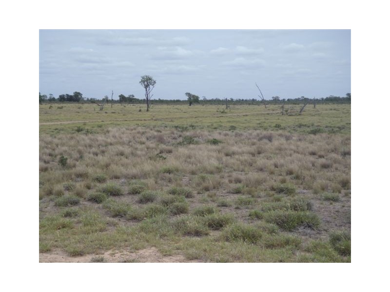 ” Honeymah “, Dirranbandi QLD 4486