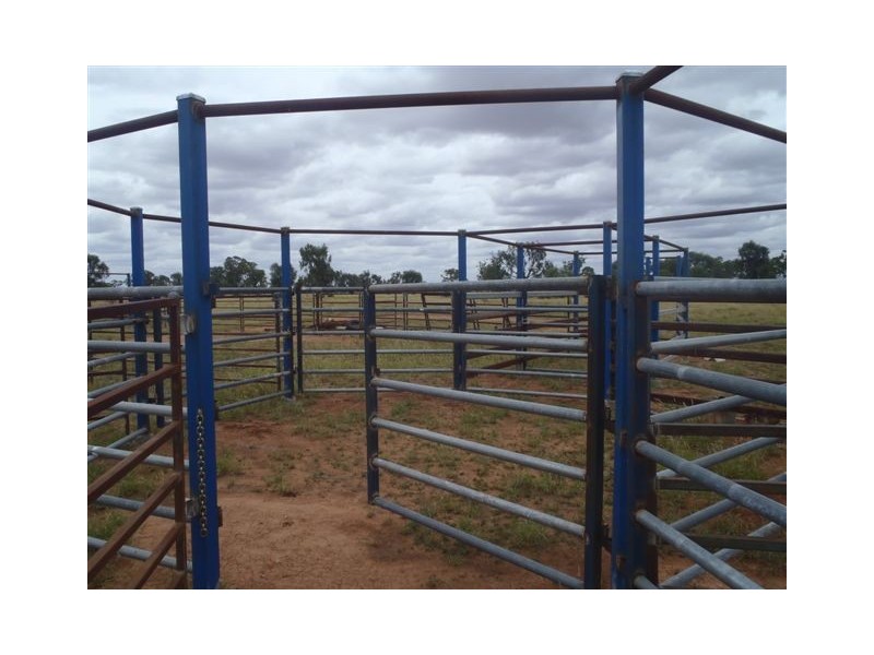 ” Honeymah “, Dirranbandi QLD 4486