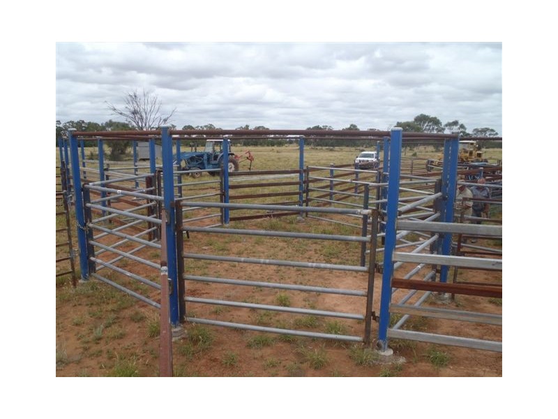 ” Honeymah “, Dirranbandi QLD 4486