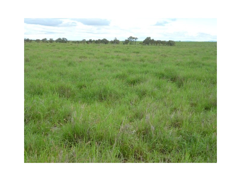 ” Mayfield”, Dingo QLD 4702