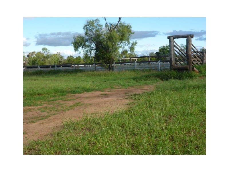 ” Mayfield”, Dingo QLD 4702