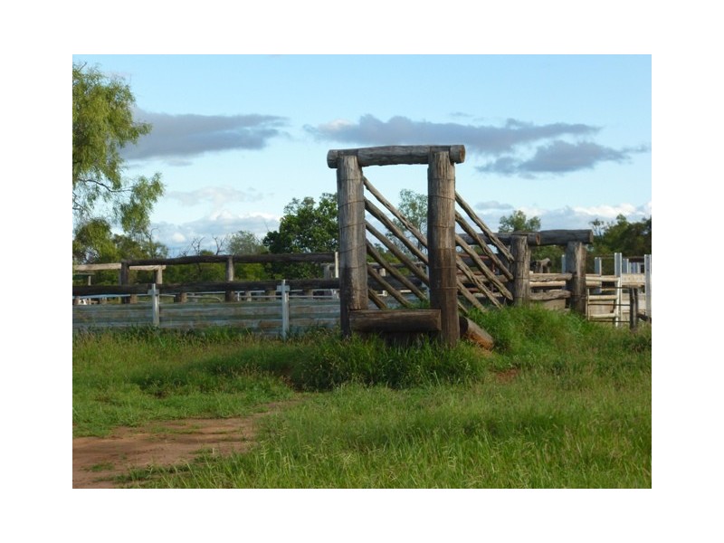 ” Mayfield”, Dingo QLD 4702