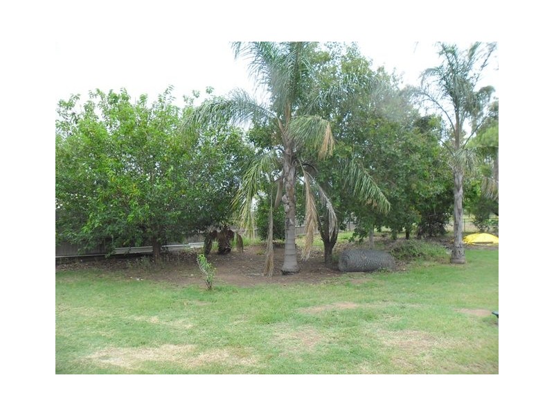 L 38 TIEREYBOO EAST ST, Condamine QLD 4416