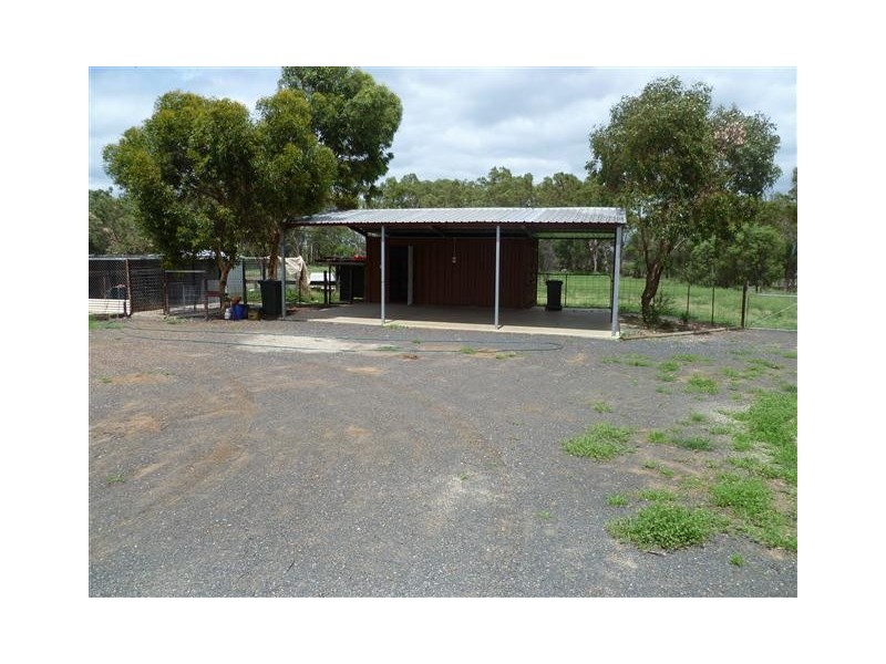 262 ROMA DOWNS, Roma QLD 4455