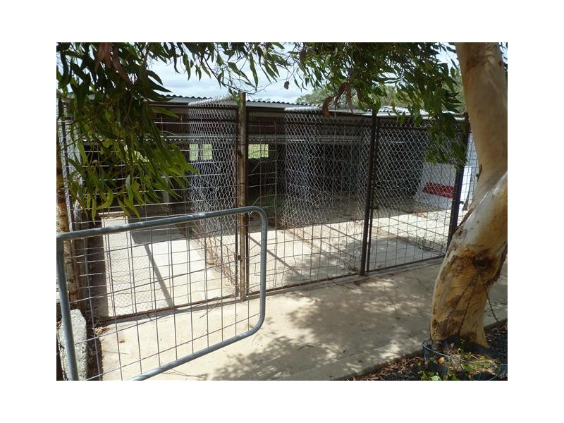 262 ROMA DOWNS, Roma QLD 4455