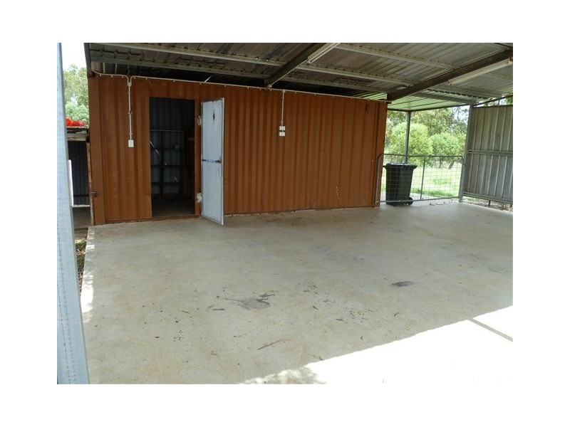 262 ROMA DOWNS, Roma QLD 4455