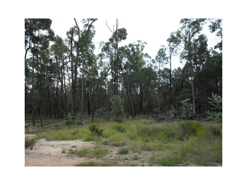 LOT 11 RETREAT RD, KOWGURAN, Miles QLD 4415