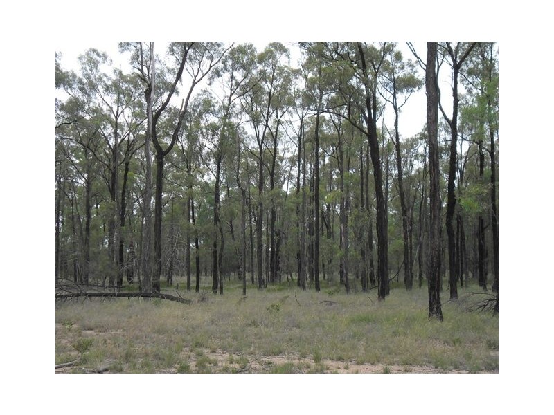 LOT 11 RETREAT RD, KOWGURAN, Miles QLD 4415