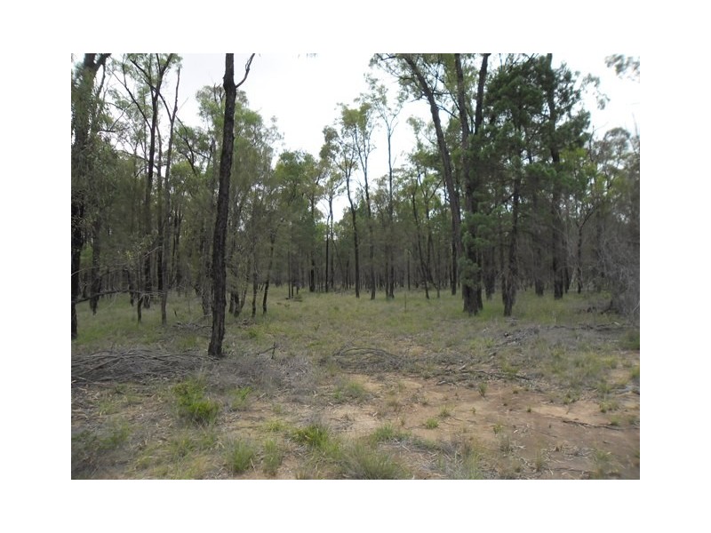 LOT 11 RETREAT RD, KOWGURAN, Miles QLD 4415
