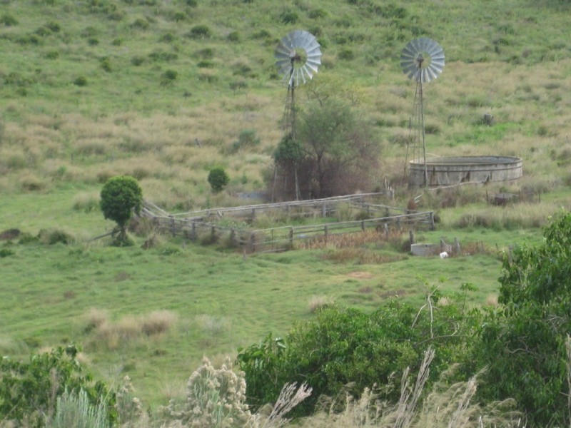 Maclagan QLD 4352
