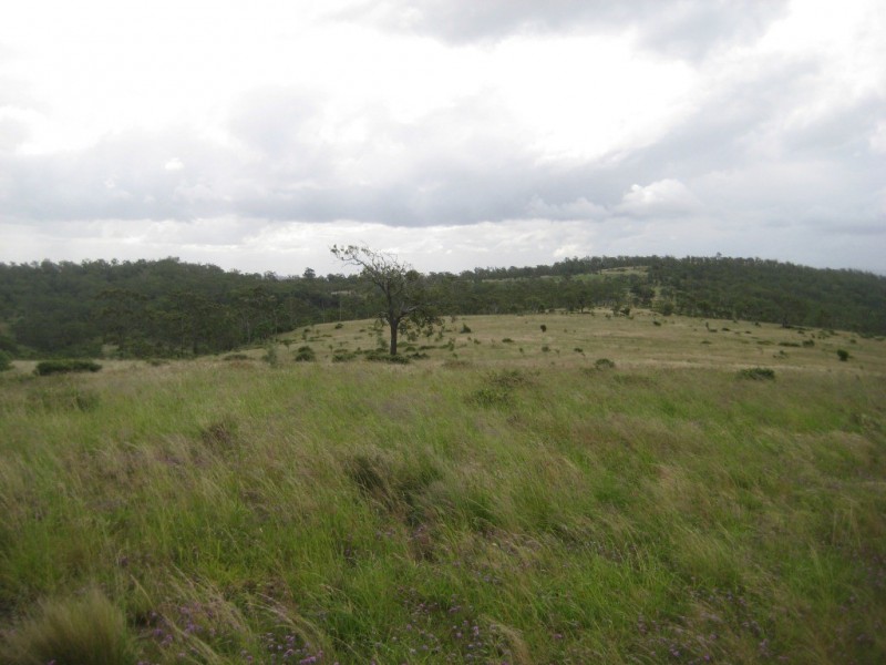 Maclagan QLD 4352