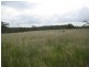 Maclagan QLD 4352