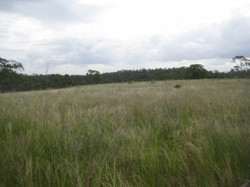 Maclagan QLD 4352
