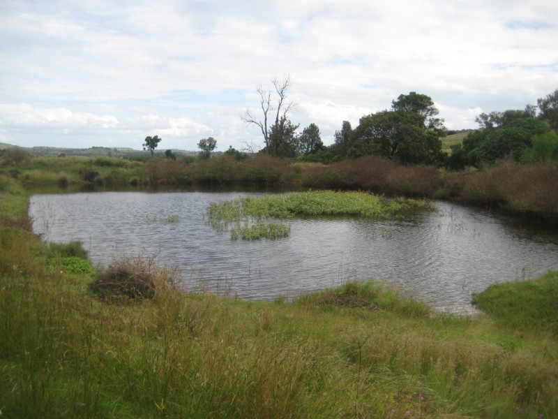 Maclagan QLD 4352