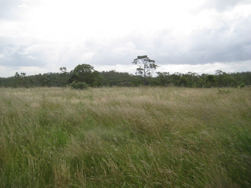 Maclagan QLD 4352