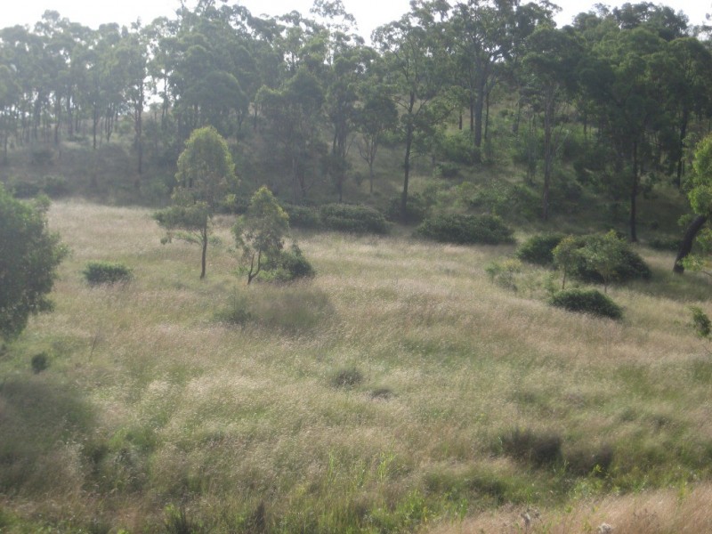 Maclagan QLD 4352