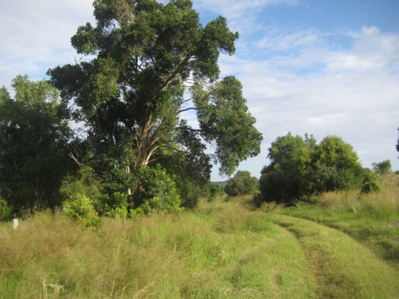 Maclagan QLD 4352