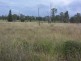 Miles QLD 4415