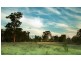 Miles QLD 4415
