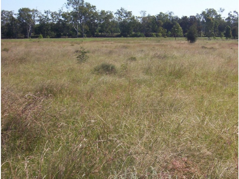 Miles QLD 4415