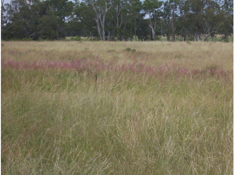 Miles QLD 4415
