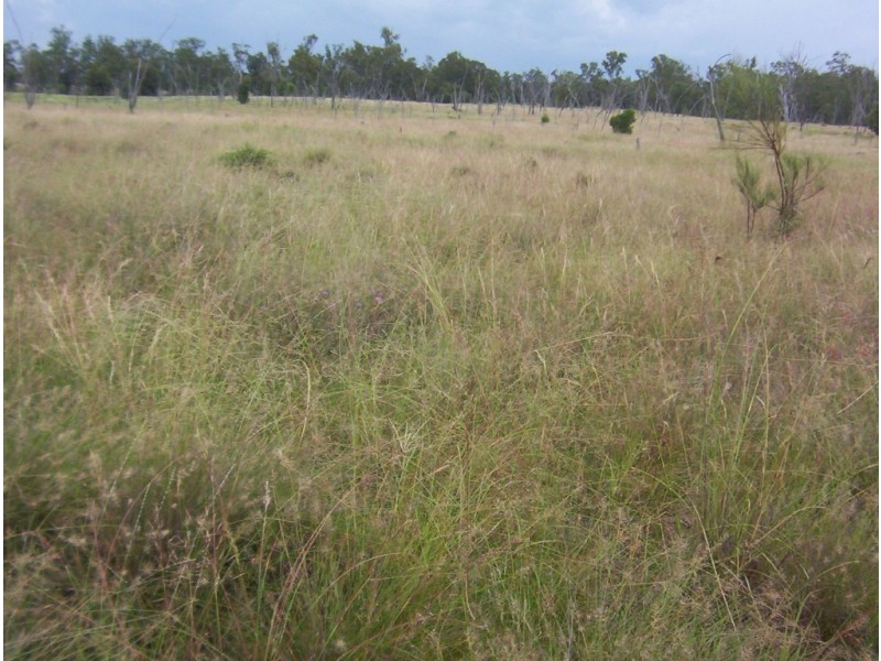 Miles QLD 4415