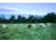 Miles QLD 4415
