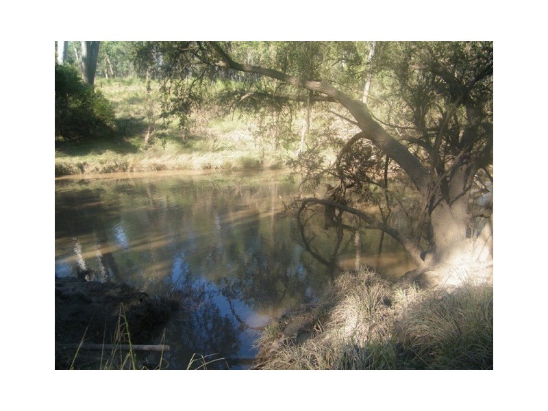 BILLABONG 598 BULRUSH RD, Miles QLD 4415