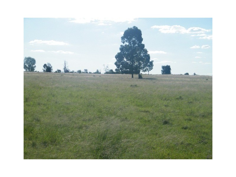 BILLABONG 598 BULRUSH RD, Miles QLD 4415